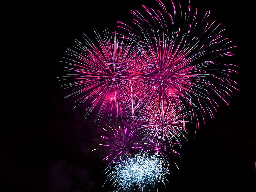 Vibrant Pink and Blue Fireworks Exploding in Night Sky