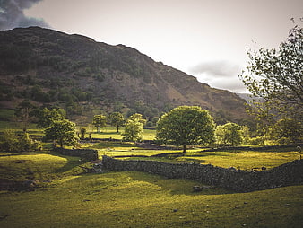 Sunlit Green Pastures with Stone Walls and Mountain Backdrop