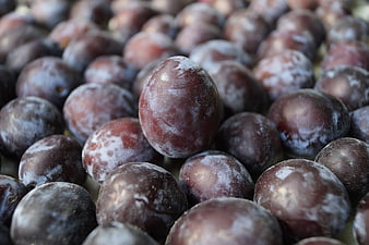 Close-up of fresh ripe plums with natural bloom