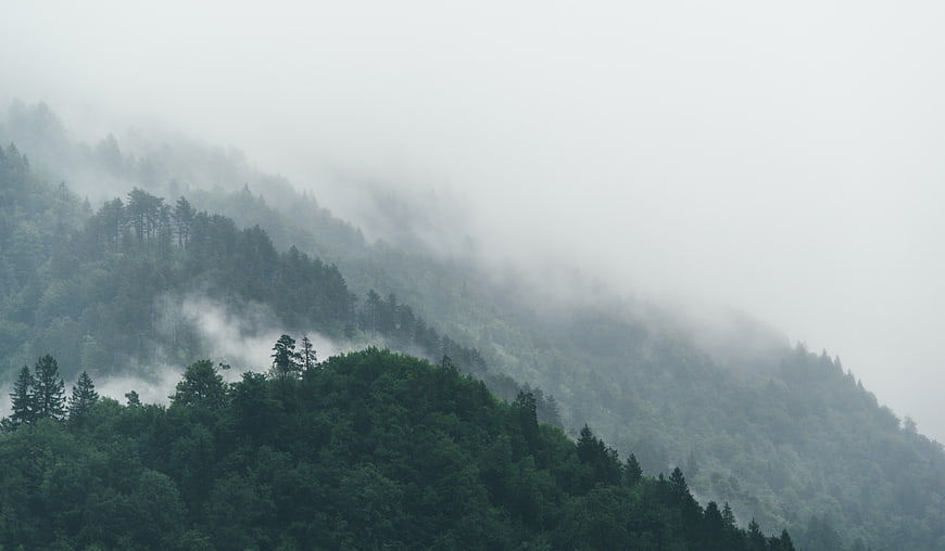 Misty Mountain Forest Landscape with Fog and Trees