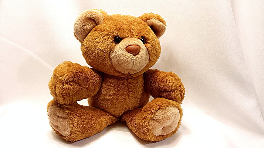 Cute Brown Teddy Bear Sitting on White Background