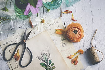 Vintage flat lay with scissors, flowers, and old letters on white wood