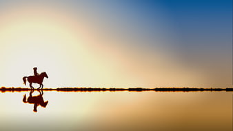 Silhouette of Horse Rider on Lake at Sunset