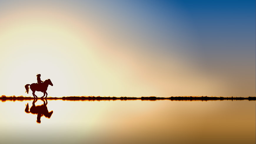 Silhouette of Horse Rider on Lake at Sunset