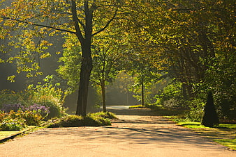Sunlit Park Path With Misty Morning Light And Autumn Trees