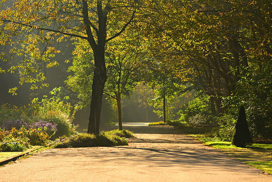 Sunlit Park Path With Misty Morning Light And Autumn Trees