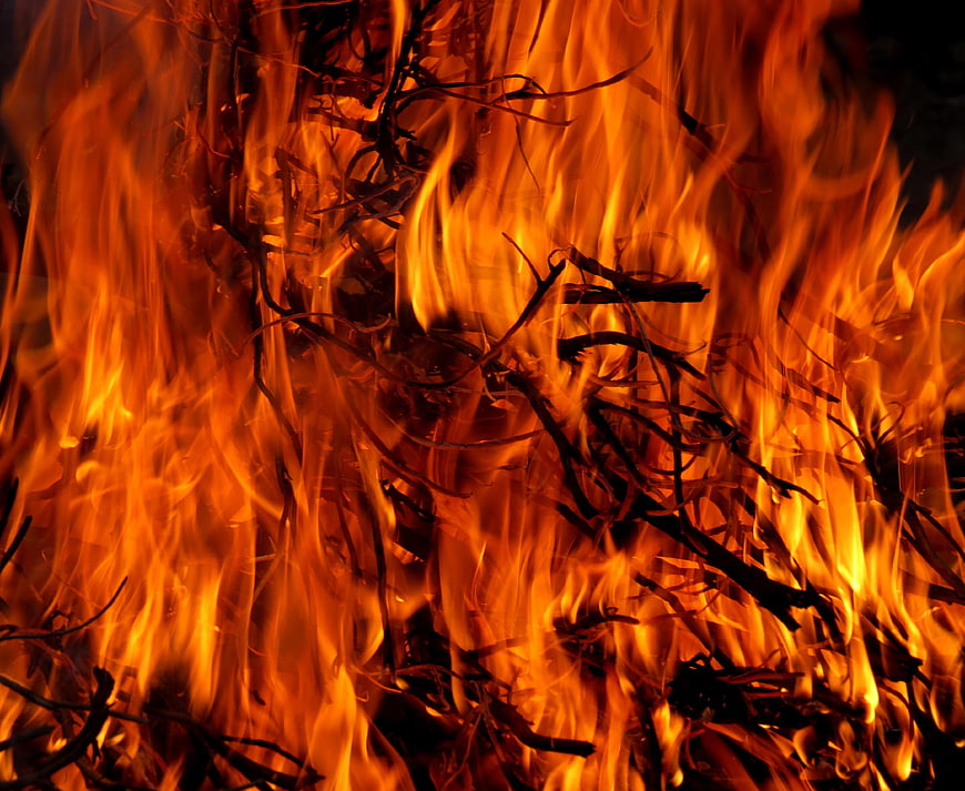 Close-up of intense orange flames and burning twigs