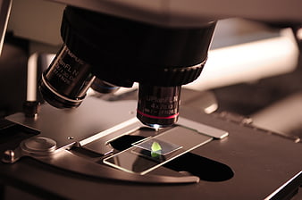 Close-up of microscope lens examining a leaf sample on a slide
