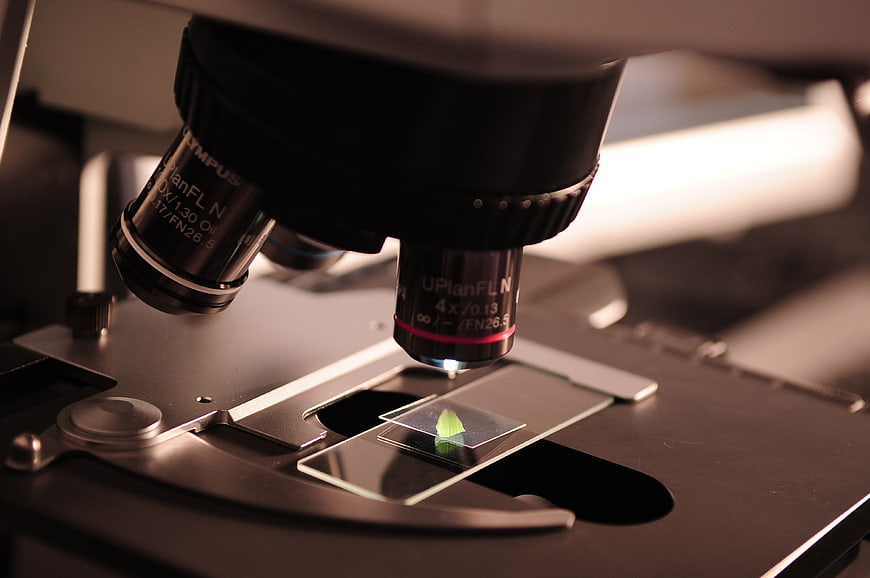 Close-up of microscope lens examining a leaf sample on a slide