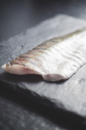Raw fish fillet on dark slate background