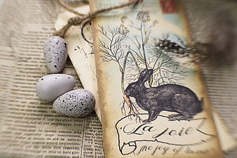 Rustic Easter eggs and vintage rabbit illustration on old book