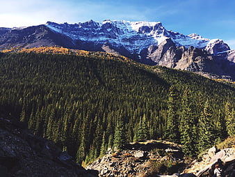 Snow-Capped Mountain Peak Above Dense Evergreen Forest