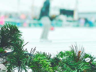 Close-up of Christmas Garland with Blurred Winter Background