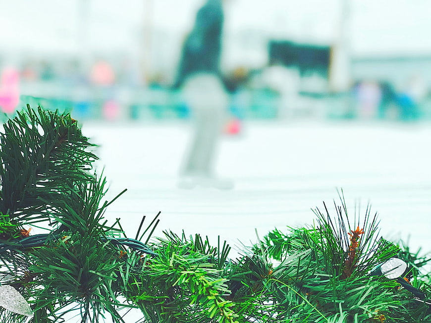 Close-up of Christmas Garland with Blurred Winter Background