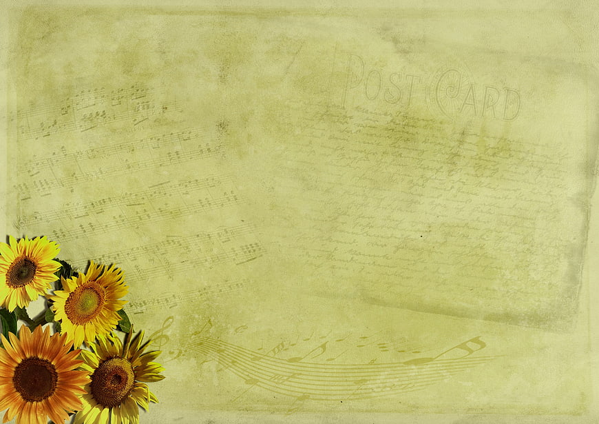 Vintage Sunflower Postcard Background with Sheet Music