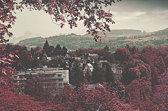 Vibrant Pink and Purple Autumn Landscape with Village