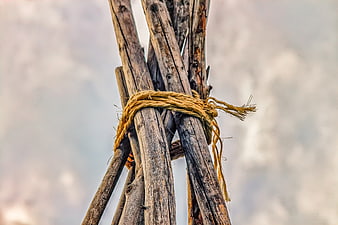 Weathered wooden poles tied with yellow rope against a blurred background