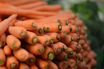 Fresh Organic Carrots Pile at Farmers Market