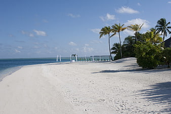 Tropical White Sand Beach With Palm Trees And Wedding Arch
