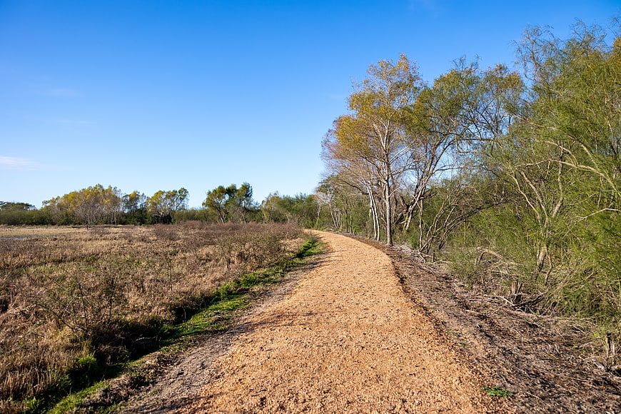 Sandy Trail Winding Through Trees and Dry Grass Under Blue Sky