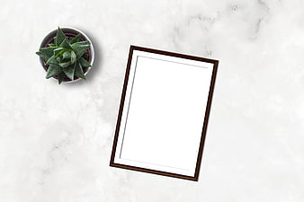 Empty wooden picture frame mockup with succulent on white marble background