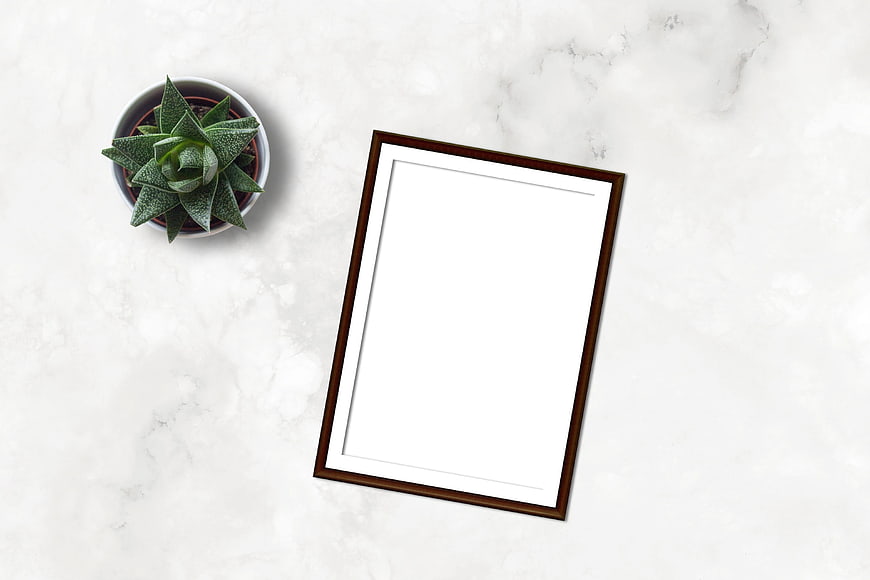 Empty wooden picture frame mockup with succulent on white marble background