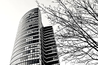 Black and white modern curved skyscraper with bare tree branches