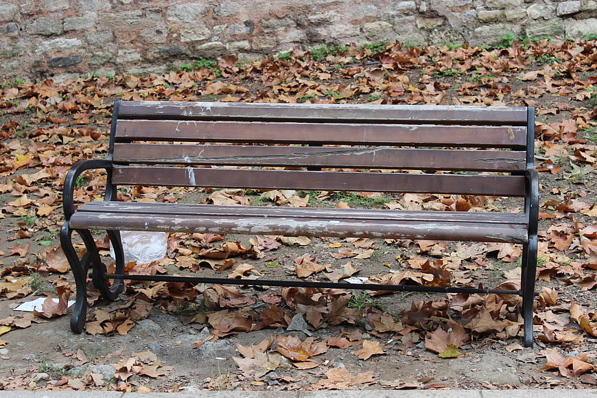 Weathered wooden park bench surrounded by autumn leaves