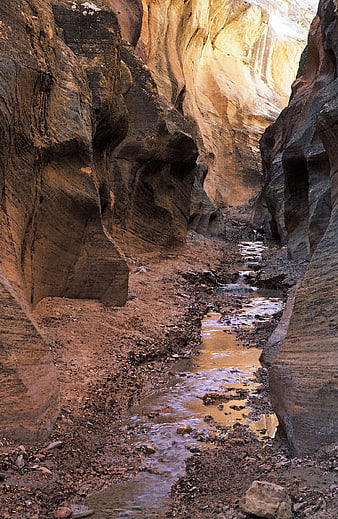 Narrow slot canyon with winding stream and sandstone walls