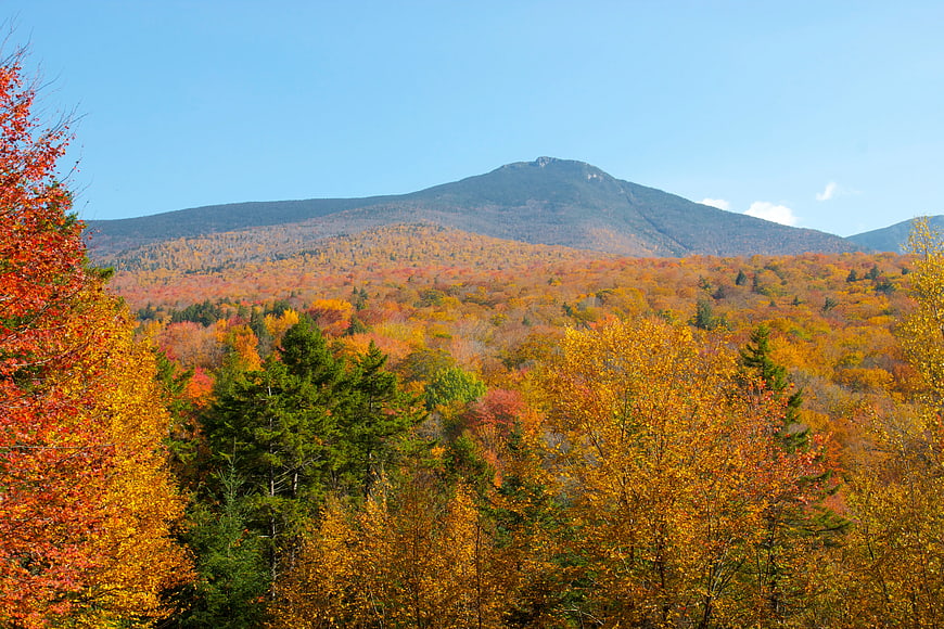 Vibrant Autumn Forest Landscape with Mountain Peak