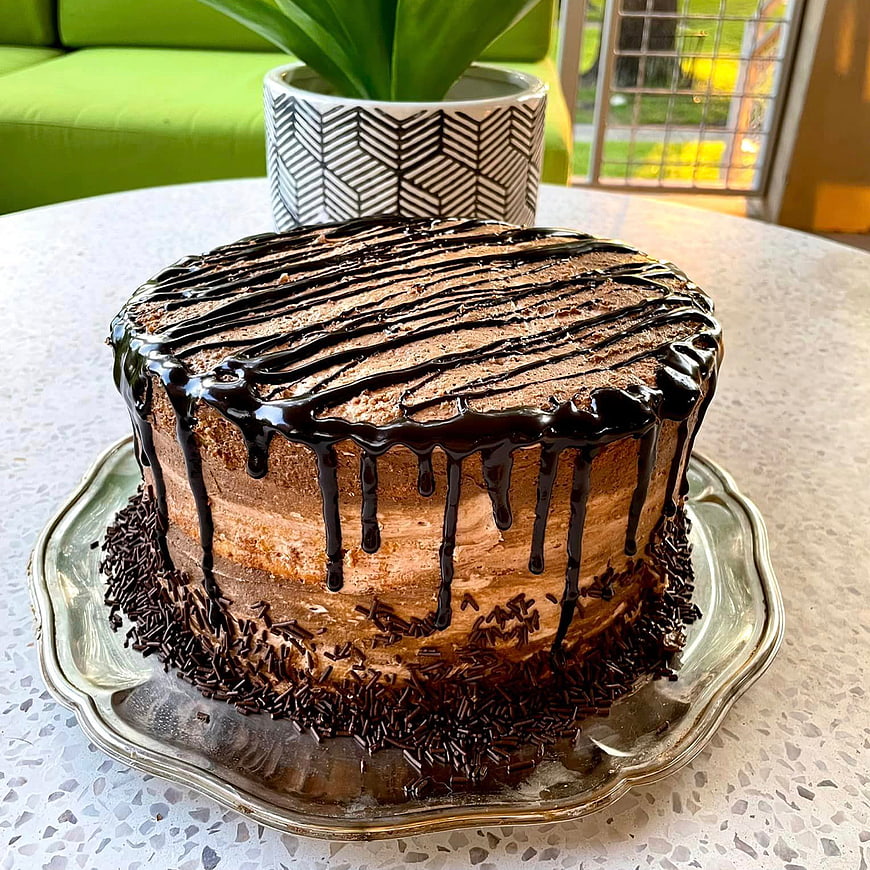 Homemade Chocolate Cake with Drip Glaze and Sprinkles