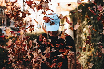Man throwing autumn leaves in the air