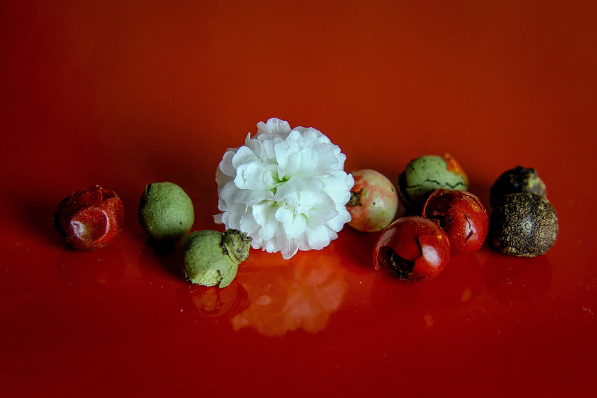 White flower and colorful peppercorns on red background