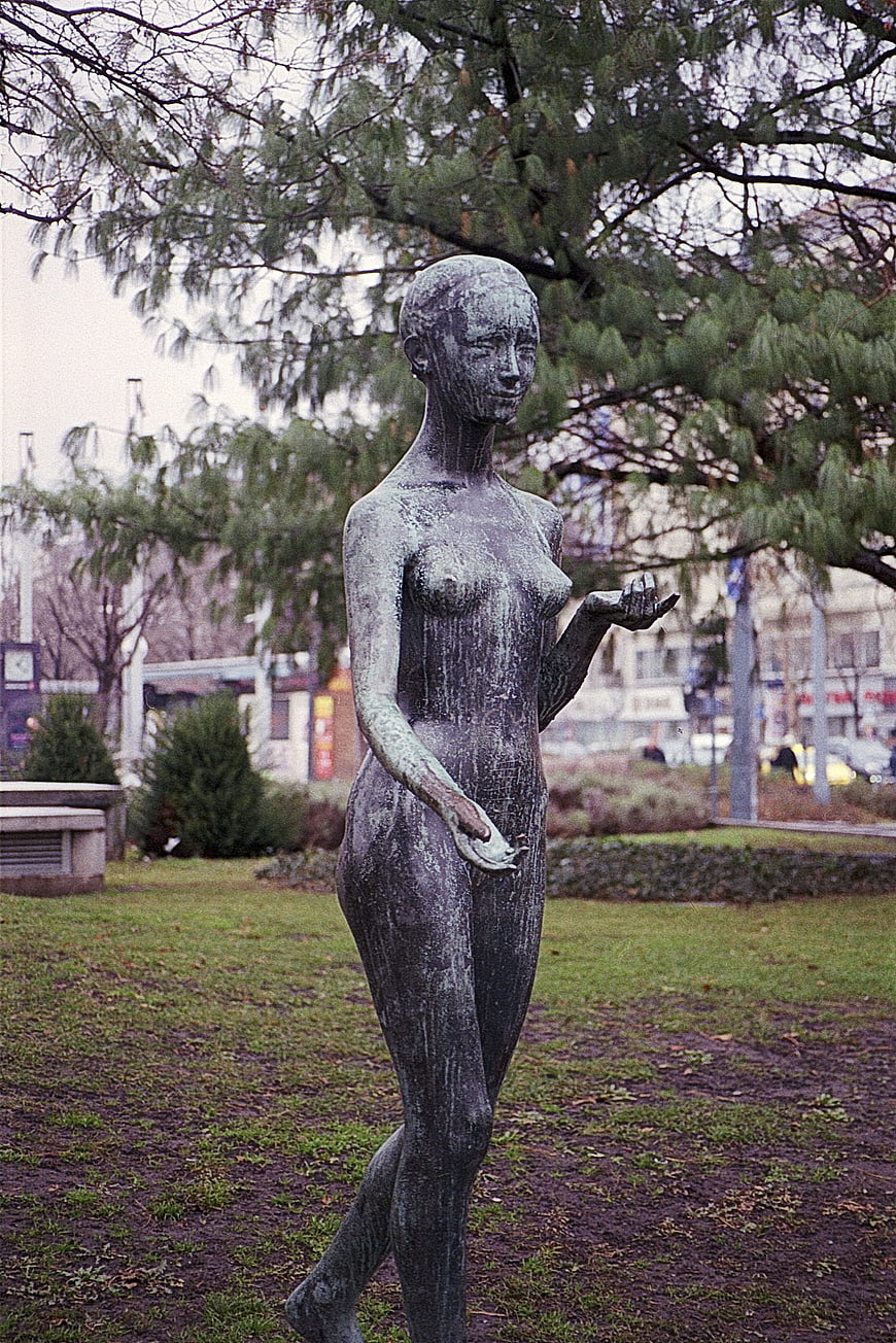 Bronze female statue in urban park with pine trees