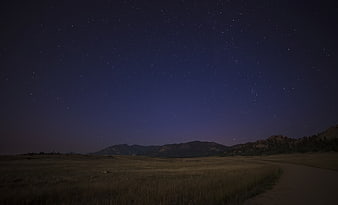 Starry Night Sky Over Grassy Field and Mountains