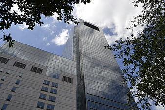 Modern Glass Skyscraper Framed By Trees Against Blue Sky