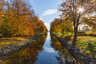 Autumn Canal with Vibrant Orange Trees and Sun Flare