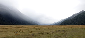 Misty Mountain Valley Landscape in New Zealand