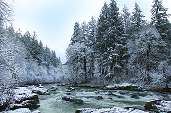 Snowy Winter River Flowing Through Forest Landscape