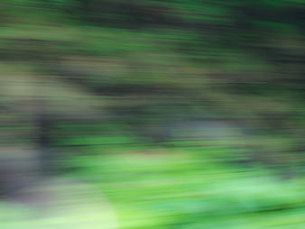 Abstract Green Motion Blur Background