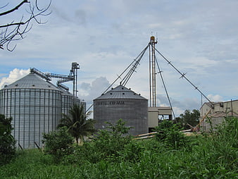 Industrial grain silos and storage tanks in rural landscape
