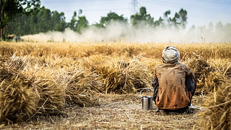 Farmer Resting in Golden Wheat Field During Harvest