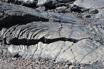 Close-up of textured black pahoehoe lava rock formations