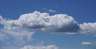 Bird Silhouette Flying Against Blue Sky with Clouds