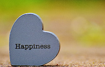 Gray Heart with Happiness Text on Blurred Background