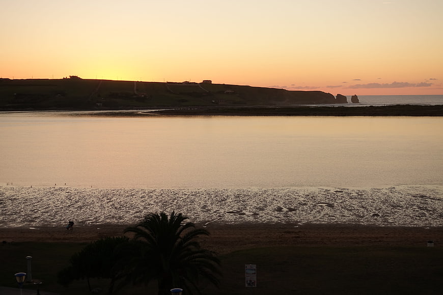 Serene coastal sunset with palm tree silhouette and calm water
