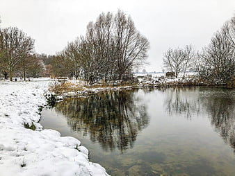 Serene Winter Pond with Snowy Banks and Bare Trees