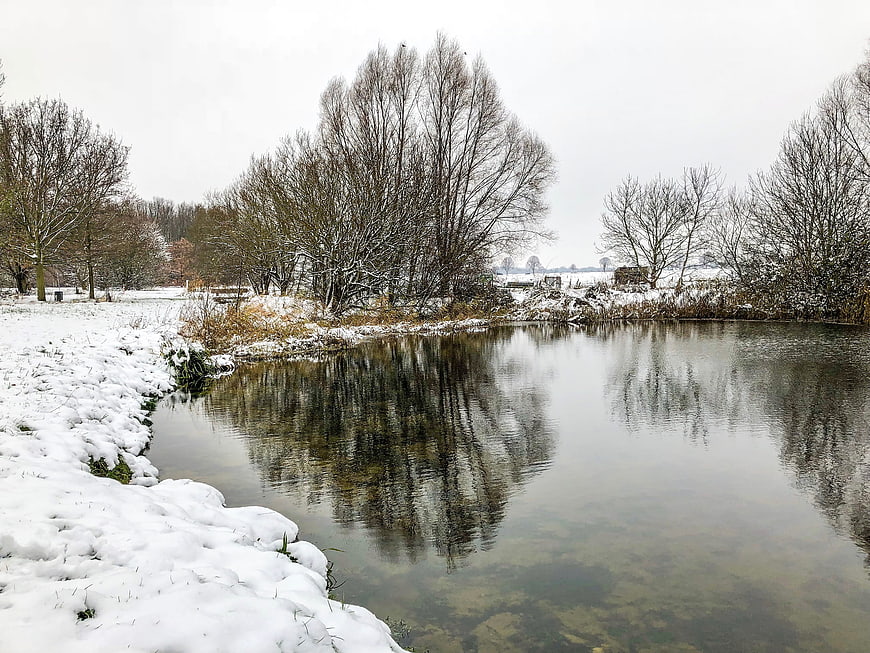 Serene Winter Pond with Snowy Banks and Bare Trees