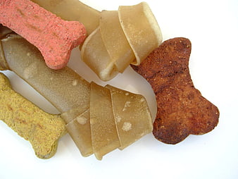 Assorted dog treats and chews on white background