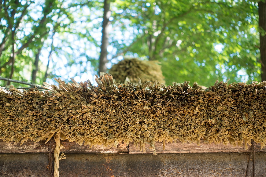 Dried Hay Bundles Hanging on Wooden Fence in Forest